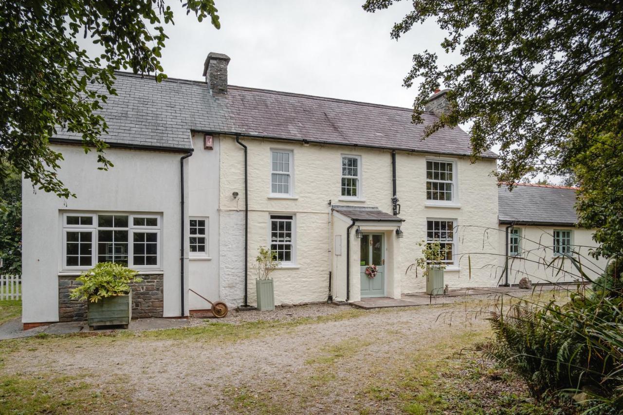 The Green Door Vegan B&B Llanon Kültér fotó