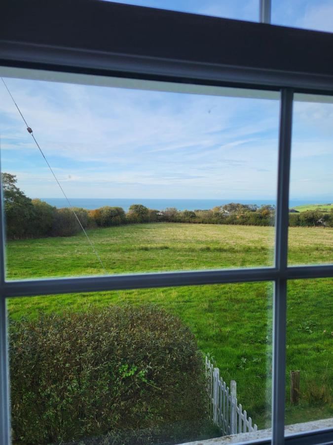 The Green Door Vegan B&B Llanon Kültér fotó